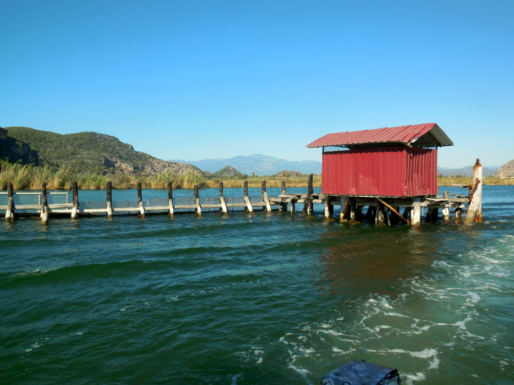 Dalyan